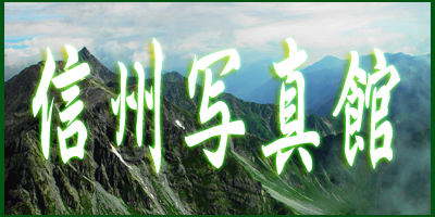 �M�B�ʐ^��